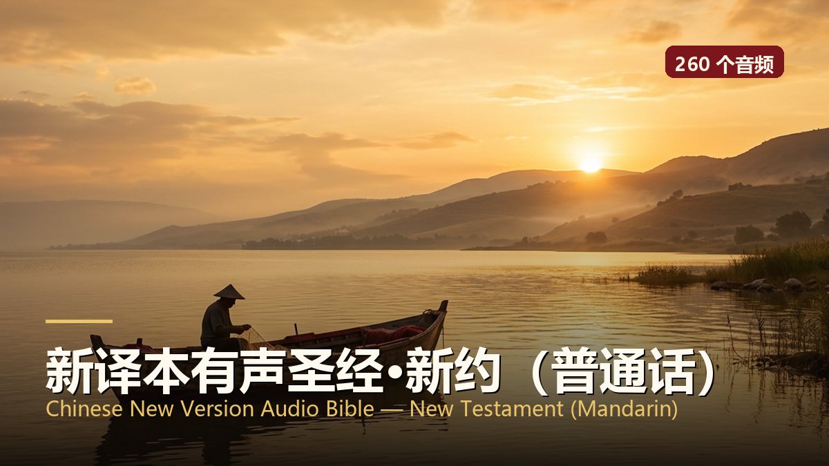 新译本有声圣经·新约（普通话）