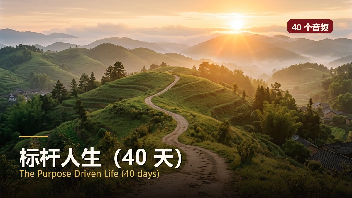 标杆人生（40 天）