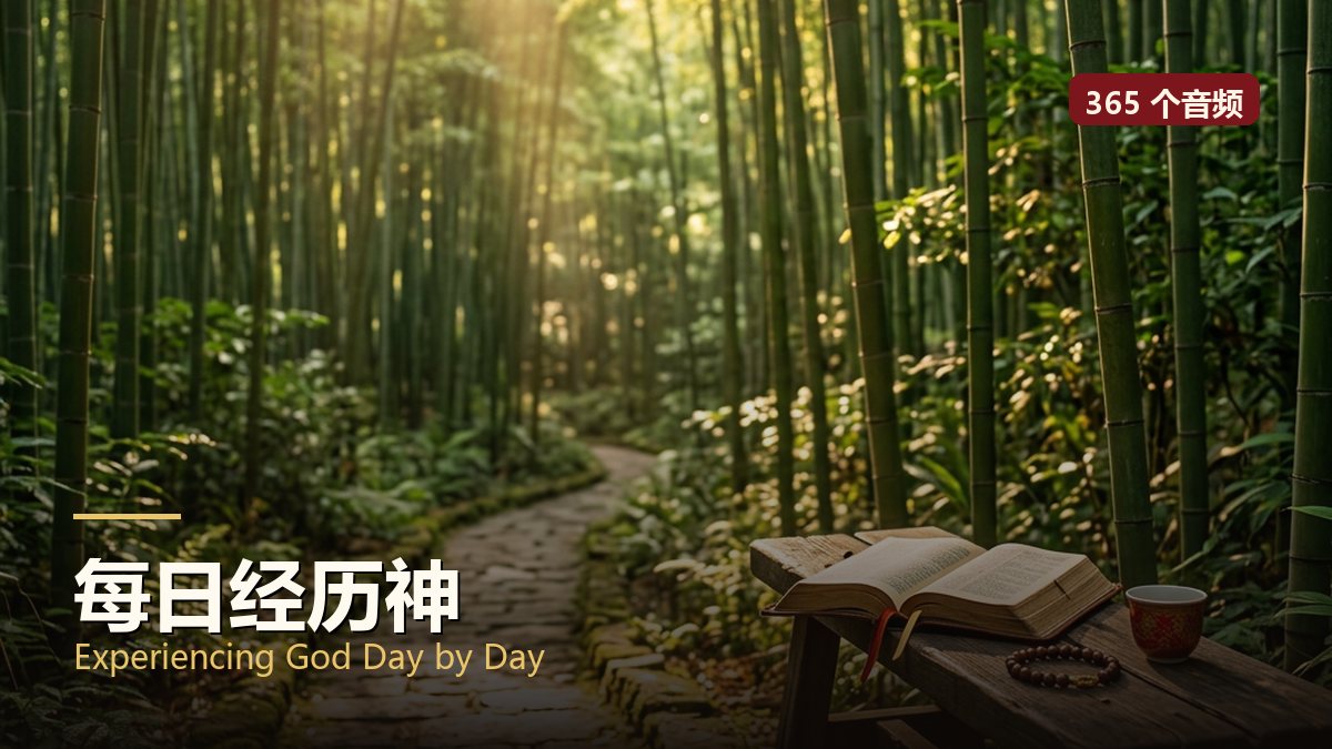 每日经历神