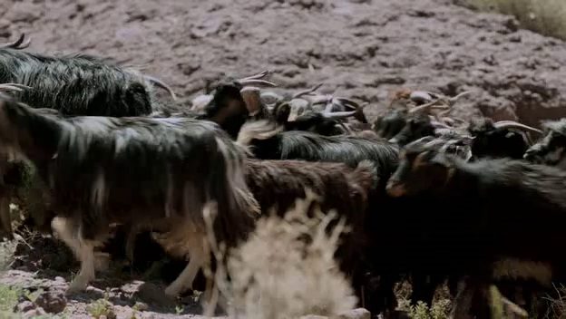 第 1 集：起初（挪亚、亚伯拉罕、雅各）