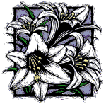 lillies012.gif