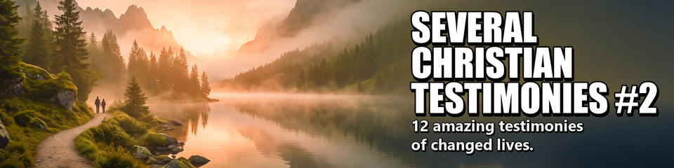 Several Christian Testimonies #2: 12 amazing testimonies of changed lives.