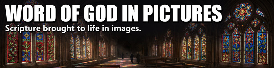 Word of God in Pictures: Scripture brought to life in images.