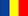 Romanian Flag