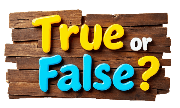 True or False Banner